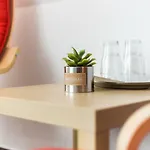 Hotel Konopiste Nova Myslivna 3*